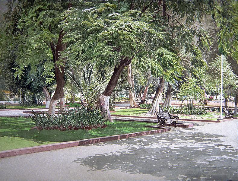 Jacarandas  1986.jpg